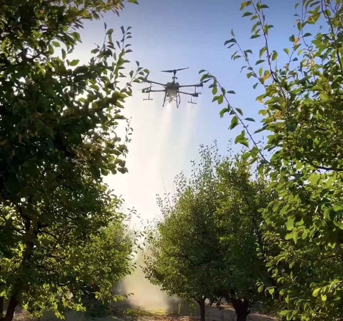 Drones Agrícolas GMD